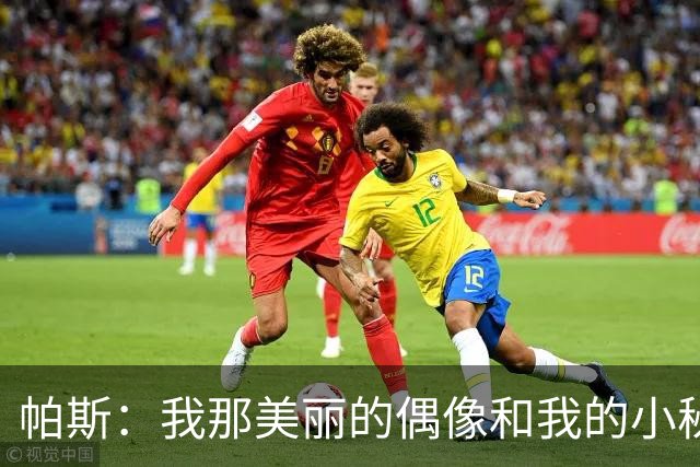 帕斯：我那美丽的偶像和我的小秘密